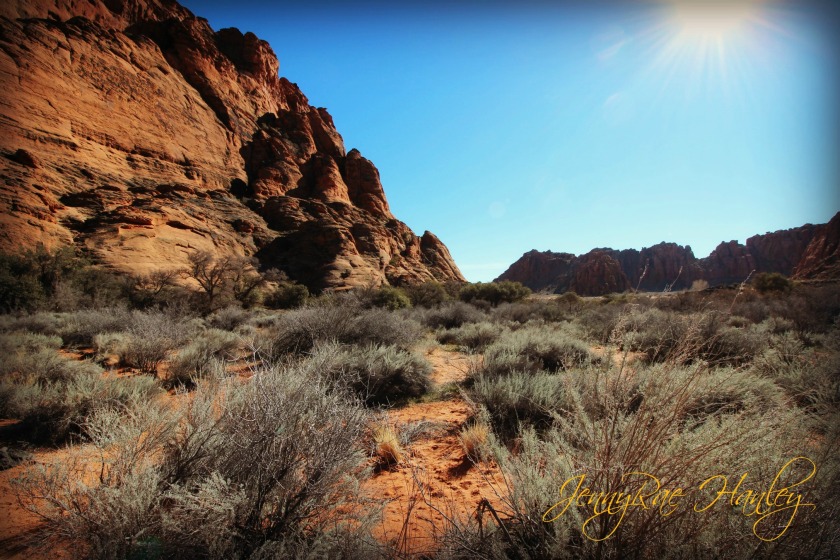 snow canyon wide angle signed